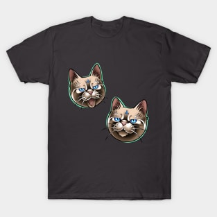 Two funny cat 2 T-Shirt